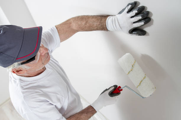 Best Drywall Removal and Disposal  in Madeira Beach, FL