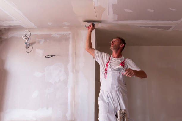 Best Ceiling Drywall Installation  in Madeira Beach, FL